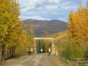 autumn arch